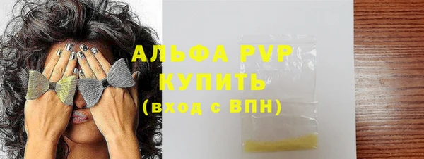 хмурый Абаза