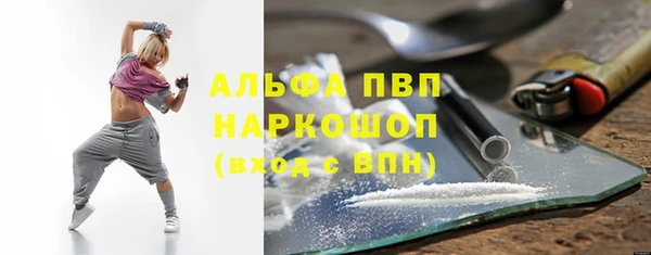 хмурый Абаза