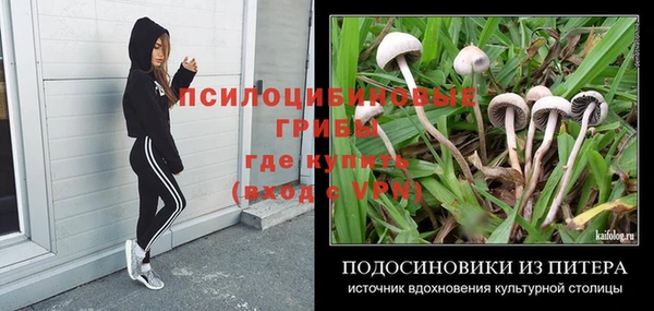 хмурый Абаза