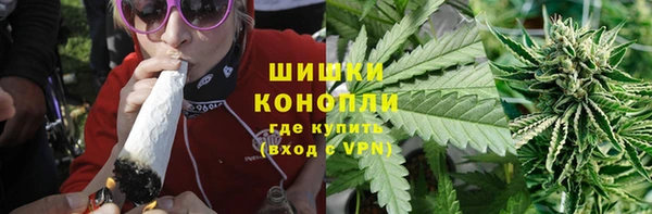 хмурый Абаза