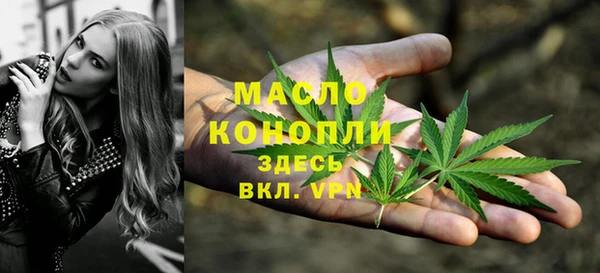 хмурый Абаза