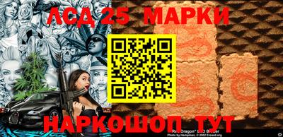гашик Сланцы