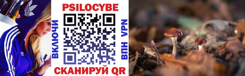 Галлюциногенные грибы прущие грибы  Тейково 