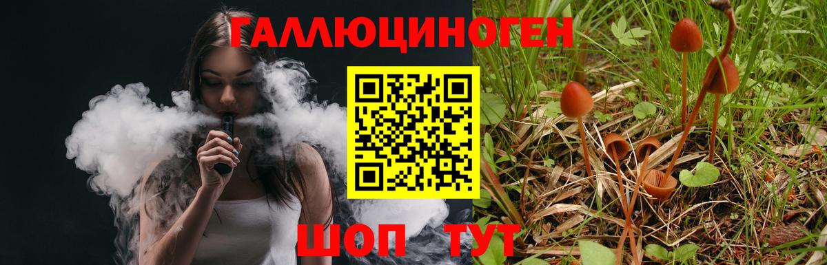 Тейково  Галлюциногенные грибы MAGIC MUSHROOMS  Вход с VPN  цена   Псилоцибиновые грибы ЛСД 