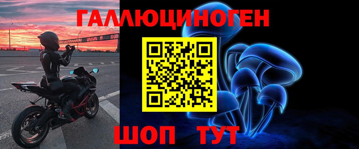 Псилоцибиновые грибы Psilocybe Тейково
